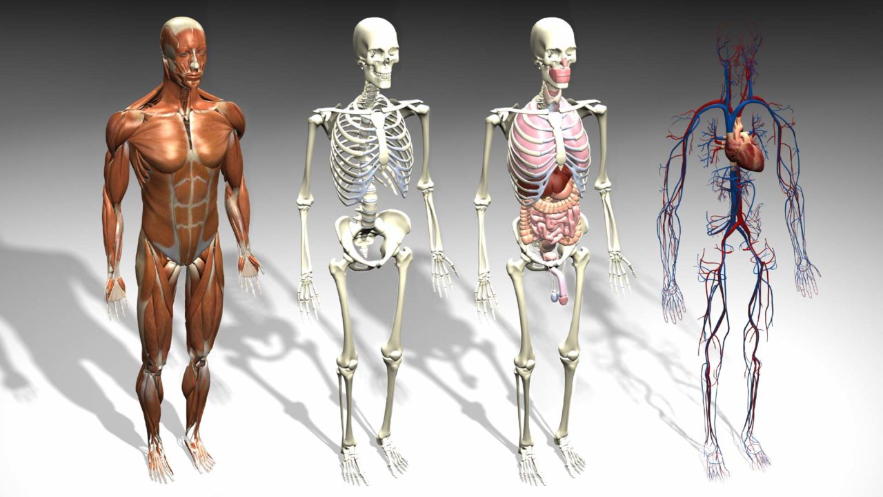 medicalpictures_fullhd_01 medicalpictures_fullhd_01